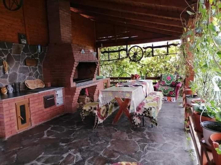 Pensiunea Brezu Sighetu Marmaţiei Exterior foto
