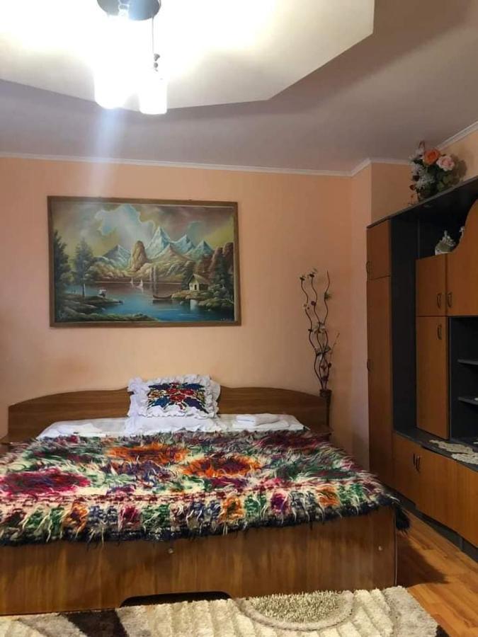 Pensiunea Brezu Sighetu Marmaţiei Exterior foto