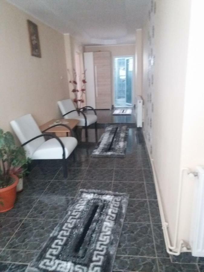 Pensiunea Brezu Sighetu Marmaţiei Exterior foto