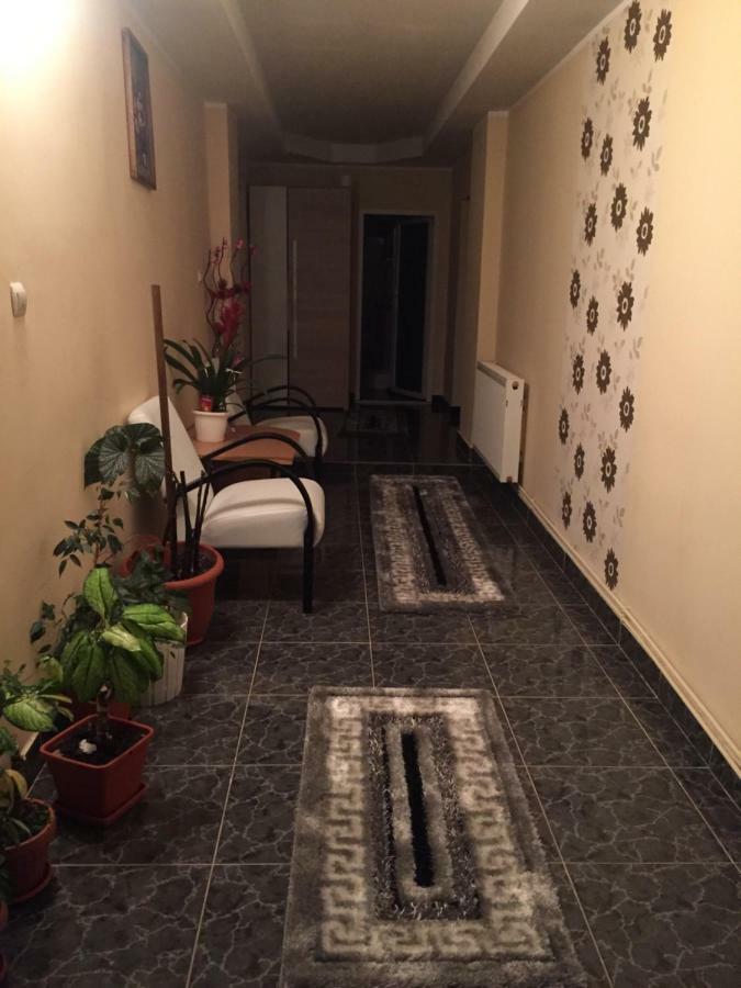 Pensiunea Brezu Sighetu Marmaţiei Exterior foto