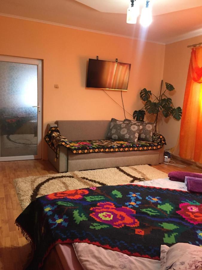 Pensiunea Brezu Sighetu Marmaţiei Exterior foto